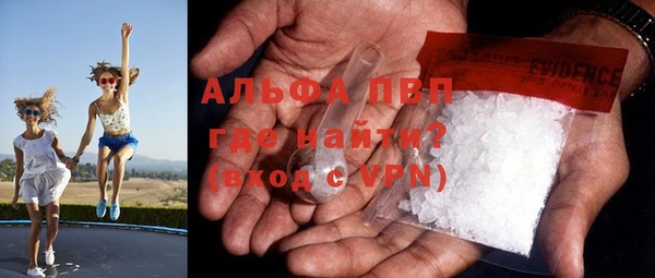 молекула духа Богородицк