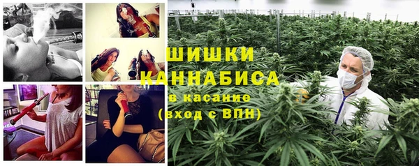 молекула духа Богородицк