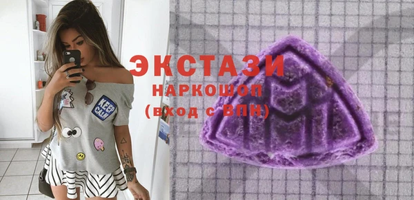 молекула духа Богородицк