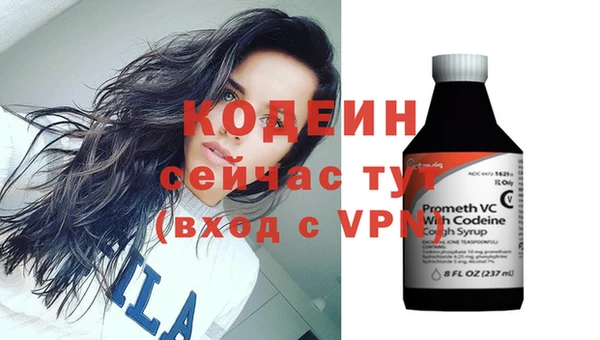 молекула духа Богородицк