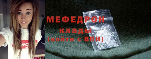 молекула духа Богородицк