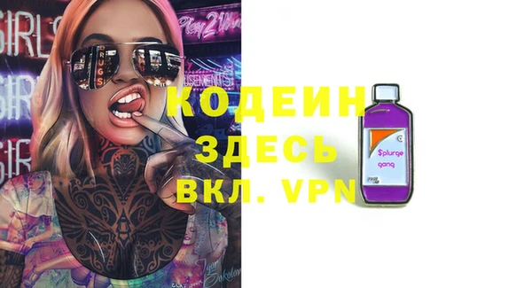 молекула духа Богородицк