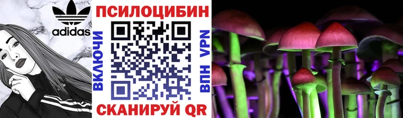Галлюциногенные грибы Psilocybine cubensis  Купить где  Саки 